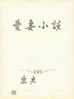 爱妻小说