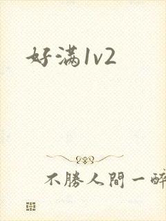 好满1v2