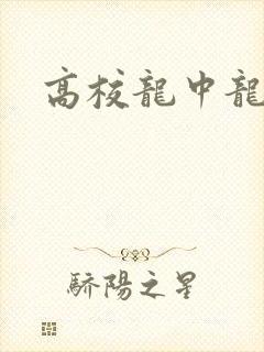 高校龙中龙