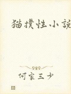 猫扑性小说
