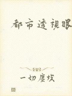 都市透视眼