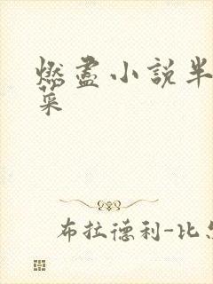 燃尽小说半截白菜