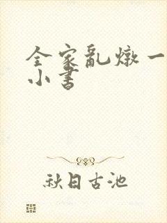 全家乱炖一锅烩小书