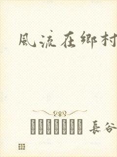 风流在乡村