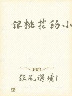 银桃花的小说