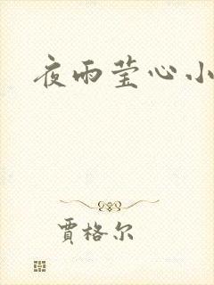 夜雨莹心小说