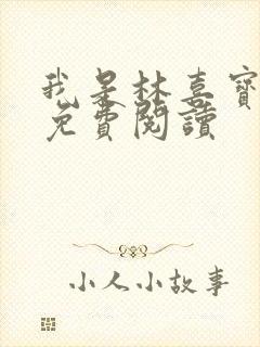 我是林喜宝小说免费阅读