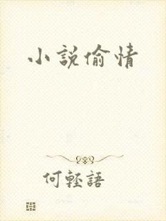 小说偷情