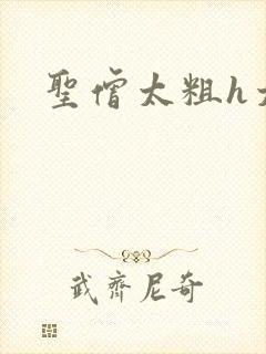 圣僧太粗h太大
