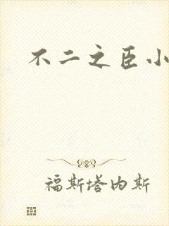 不二之臣小说
