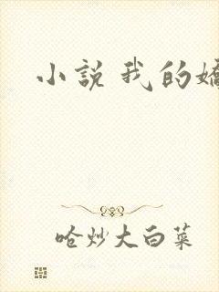 小说 我的娇妻