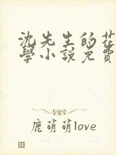 沈先生的花式教学小说免费