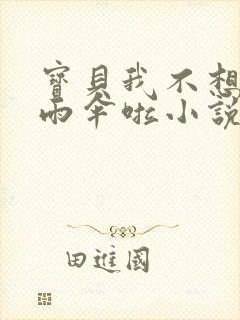 宝贝我不想带小雨伞啦小说