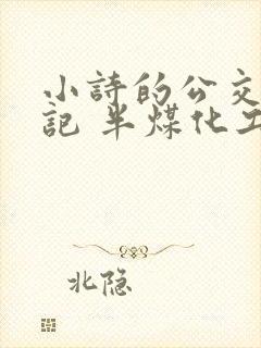 小诗的公交车日记 半煤化工