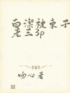 白洁被东子老二老三3p