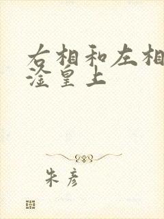 右相和左相一起淦皇上