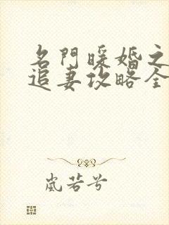 名门暖婚之权爷追妻攻略全文免费阅读