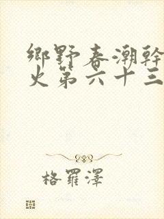 乡野春潮干柴烈火第六十三章