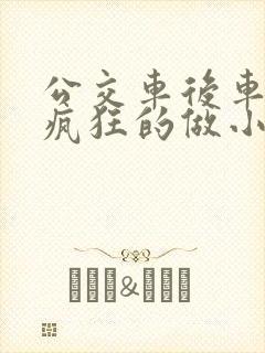 公交车后车座的疯狂的做小