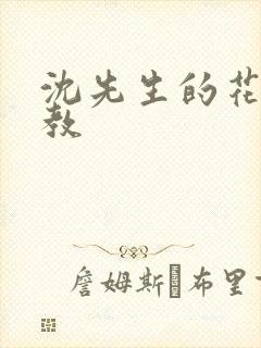 沈先生的花式管教