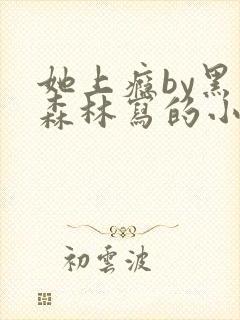 她上瘾by黑暗森林写的小说免费阅读无弹窗