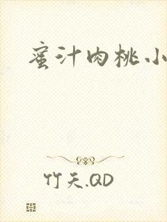 蜜汁肉桃小说