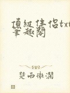 顶级伴侣txt笔趣阁