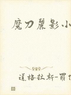 魔刀丽影小说