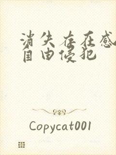 消失存在感消失自由侵犯