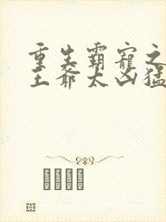 重生霸宠之摄政王爷太凶猛