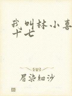 我叫林小喜今年十七