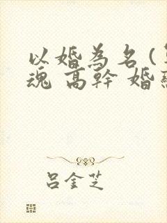 以婚为名 (军魂 高干 婚恋)