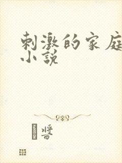 刺激的家庭乱仑小说