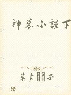 神墓小说下载