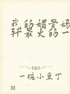 我的媚骨妈妈林轩最火的一句