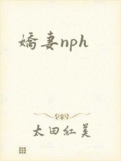 娇妻nph