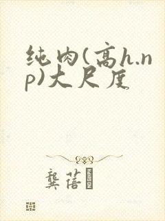 纯肉(高h.np)大尺度