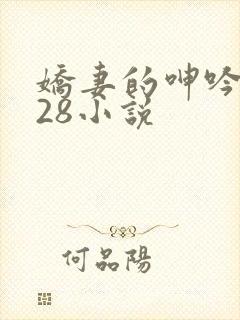 娇妻的呻吟1—28小说