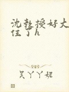 沈教授好大含不住了h