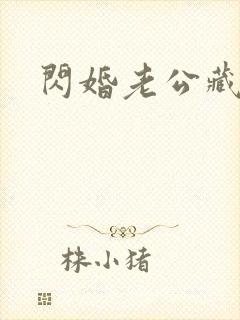 闪婚老公藏不住