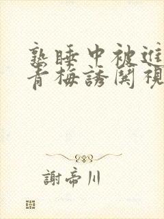 熟睡中被进了H青梅诱哄视频