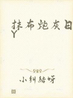 抹布炮灰日记BY