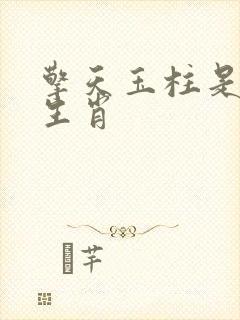 擎天玉柱是什么生肖