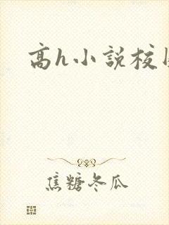 高h小说校园