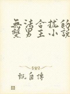 无法合拢的总裁双男主小说