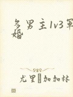 多男主1v3军婚