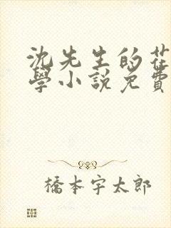 沈先生的花式教学小说免费