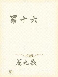 罗十六