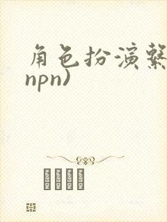 角色扮演系统(npn)
