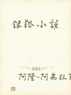 银狐小说